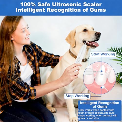 Image of Rarepet Dog Teeth Cleaning Kit with Light, USB Rechargeable Dogs Tooth Brushing Kit, 3 Modes Doggie Toothbrush, Dog Plaque and Tartar Remover for Teeth, Low Noise Dog Teeth Cleaner, Pure White