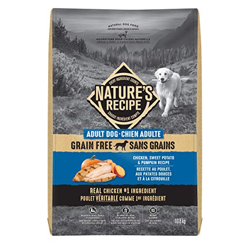 Nature's Recipe – Nourriture sèche sans grains naturelle pour chien, recette…