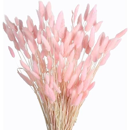 XHXSTORE 120pcs Dried Bunny Tail Grass Small Natural Dry Grass Dried Pink Flowers Bouquet Wedding Dry Flower Bunch for Valentine's Day Home Garden Party Decor Flower Arrangement (17.7 Inch)