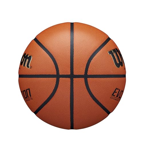 Image of Wilson Evolution Basketballs