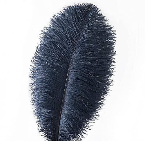 Ballinger Navy Blue Ostrich Feathers Plumes - 24Pcs 10-12Inch Craft Feathers For Wedding Party Centerpieces Halloween Decorations #TOP1
