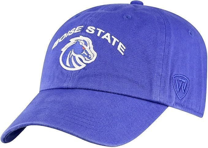 Collegiate Primary Color Team Arch Adjustable Hats