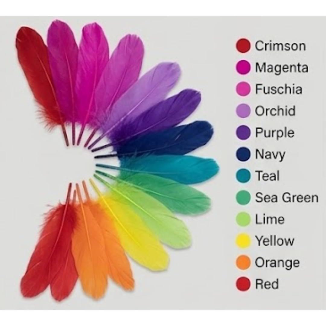 Colourful Craft Feathers, Multicolour, Soft Natural Texture, Premium Quality, for DIY Arts and Crafts by Kawaii Store 3