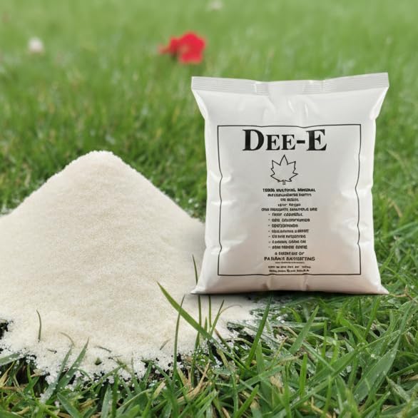 Image of DEE-E Diatomaceous Earth Powder | Natural Pest Control Soil Amendment Deodorizer Cleaning Agent | Silica Rich Fine Powder | 1 kg | Pack of 1