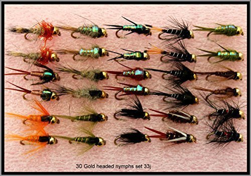 Trout Fly Fishing Flies 30 GOLD HEADED NYMPHS SET 33J In 3 Different Sizes (Size 14 Hook)