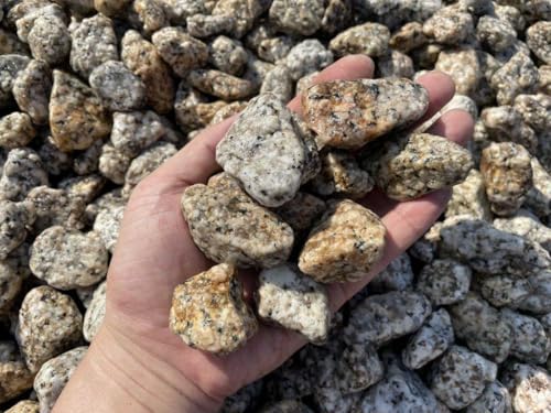 Y ɐ, {뉀pʍ, 2`8TCY, 20kg (uE, 1i30mm))