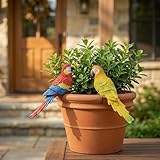 Yungeln 2 Pack Parrot Garden Decor Hanging Parrot Statue,Cute Garden Parrot Outdoor Decor for Flower Pots, Indoor Shelf & Patio, Funny Parrot Ornament Gift for Flower Pot Garden Decor