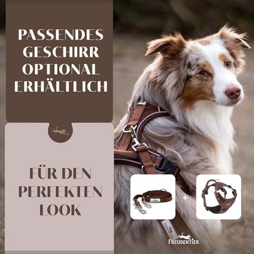 FREUDENTIER Hundeleine 2m – Verstellbare Führleine - Weich gepolstert, liegt angenehm in der Hand - Robuste Leine Hund für mittelgroße & große Hunde - Model Clyde (Braun, 25mm)