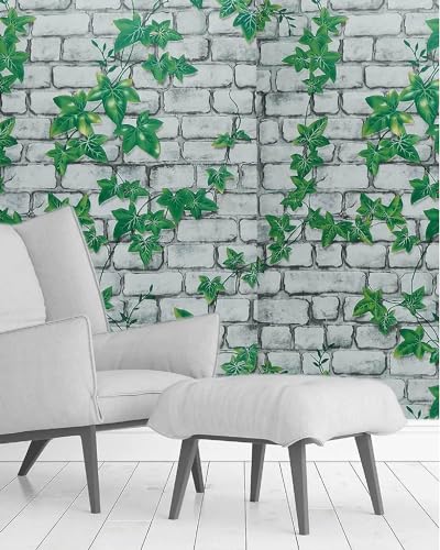 Image of Classics Pattern Peel and Stick Home Wallpaper, PVC Self Adhesive Wall Decor Wallpaper for Living Room, Hall, Restaurant (300 cm x 45 cm) (Floral & Botanical)