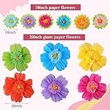 TaoBary Large Colorful Tissue Paper Flowers Giant Fiesta Paper Pom Poms Mexican Birthday Decorations for Wall Wedding Backdrop Centerpiece Party Supplies(20" and 10",Rainbow Color,12 Pcs)