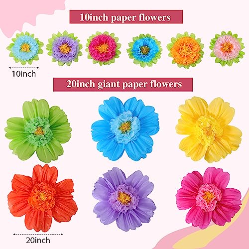 Image of TaoBary 36 Pcs Large Colorful Tissue Paper Flowers 20 inch Giant Fiesta Paper Pom Poms Classroom Wall Decor Birthday Wedding Engagement Backdrop Centerpiece Tea Party Supplies (Rainbow Color)