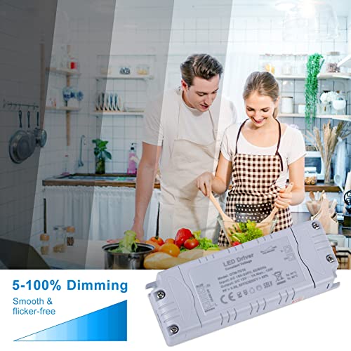 YAYZA! Alimentatore 12V IP44 1A 12W TRIAC