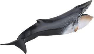 Zerodis Whale model toy Marine animal Figurine in high simulation Desktop Ornaments Home decoration birthday christmas educational gift for children(23 x 6cm)
