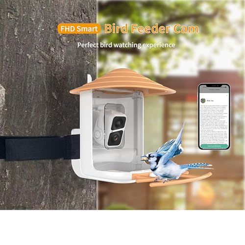 Image of Solar Powered AI Window Bird Feeder with 2MP Camera | Weatherproof | Smart | Outdoor Decor | Metal Feeder for Birds /Pack of 1