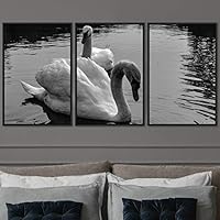 3 Piece Framed Canvas Wall Art Black and White Birds Canvas Prints Home Artwork Decoration for Living Room,Bedroom - 16