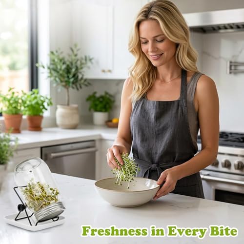 Kit de pots de germination complet avec support inox et bac Easy Home Sprout - 6