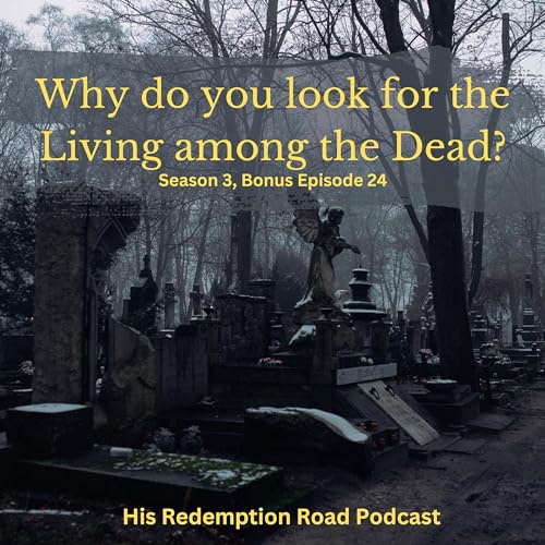 『Season 3 Finale: Vision: Why do you seek the living among the dead?』のカバーアート