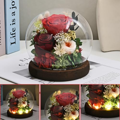 Gifts-for-Women-Rose-Fresh-Flowers-in-Glass-Dome-with-LED-Light-Real-Roses-Gifts-for-Wife-Sister-Girlfriend-on-Mother-Day-Birthday-Valentine-Day-red
