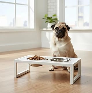 Comedouro Elevado Duplo para Pets porte pequeno, Tigelas em Aço Inox Removíveis, Base em Alumínio com Pintura Eletrostática, Pés Antiderrapantes (branco)