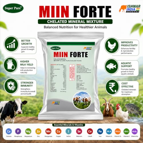 Image of MIIN Forte Pouch Pack | Mineral Mixture Powder for Cattle, Buffaloes, Goats & Sheep | Boosts Milk Yield, Growth, Immunity Booster | Powerful Chelated Minerals Mixture (1Kg)