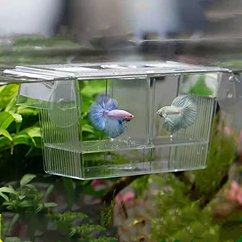 Technologymatter Fish Breeder Box Aquarium Divider Tank Fish Shrimp Guppy Clownfish Breeding Hatchery (Small) #TOP2