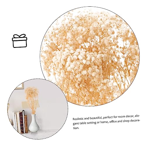 Bouquet seco de Gypsophila para decoración de hogar miniatura 2