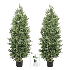 Cedar Topiary Trees - 2 Pack (5ft)
