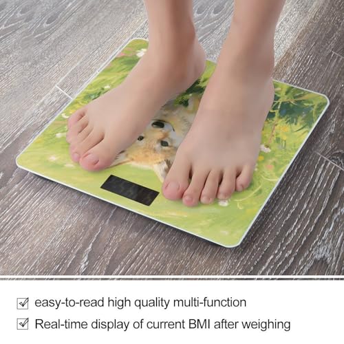 Báscula Digital de Baño Small Wolf con Pantalla LED miniatura 5