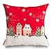 Phantoscope Decoractive New Merry Christmas Series Christmas County Throw Pillow Case Cushion Cover 18" x 18" 45cm x 45cm