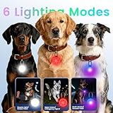 JIARUI Hundelicht mit GPS Tracker, 6 Modi Leuchtanhänger Hund, IP68 wasserdichte LED Tracker Hunde Licht, Kompatibel mit Apple Find My Ohne ABO (nur iOS)