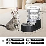 Sfozstra B0DNXKFVFV lato 3