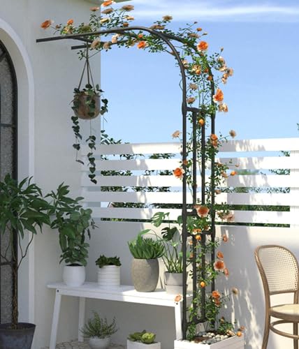 Arche de jardin en métal noir durable de 2,40 m pour rosier grimpant