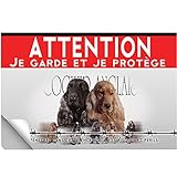 Se colle sur toutes surfaces lisses