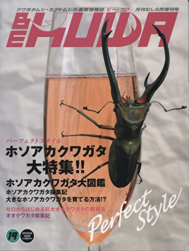 BE-KUWA(ビー・クワ) No.19 2006年 06月号 [雑誌]