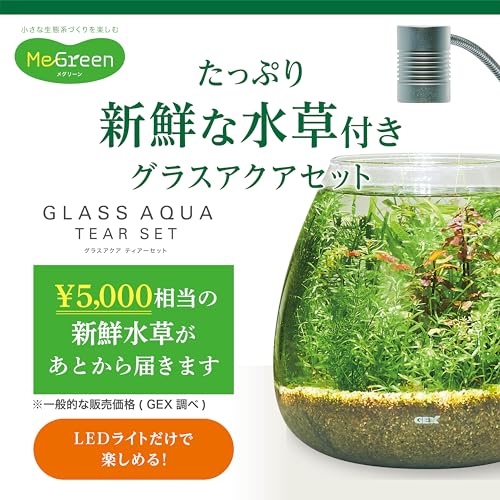 ジェックス MeGreen 新鮮な水草付き グラスアクアティアーセット の商品画像 1
