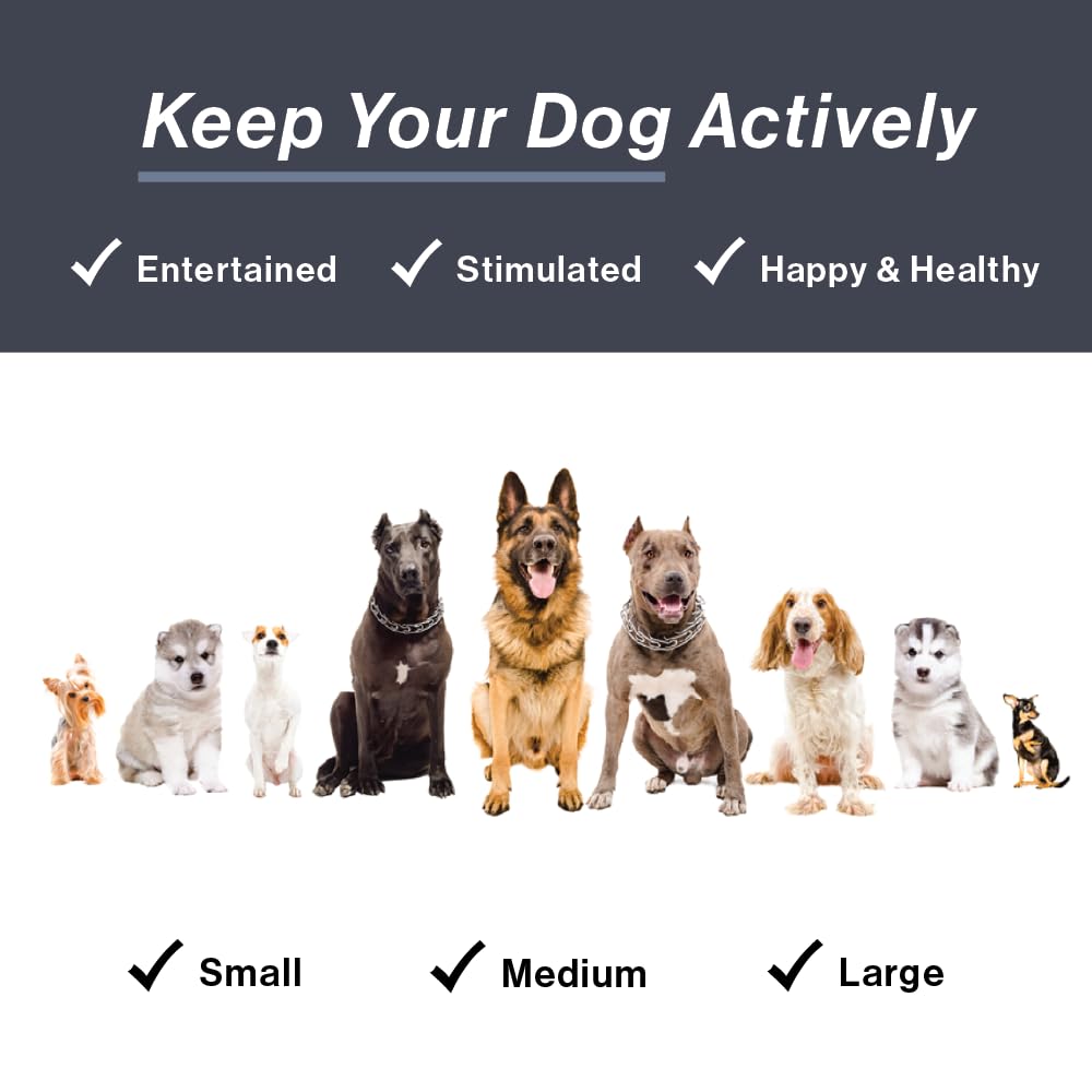 HugSmart Pet - Palla da zoo 2 in 1 palline da tennis per cani | No ripieno morbido peluche interattivo per piccole e medie e grandi razze | Giocattoli resistenti (4 pezzi)