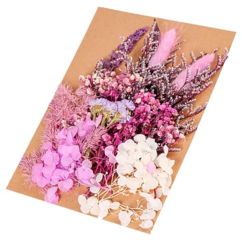 Ipetboom paquete de flores secas para manualidades miniatura 1