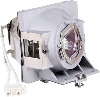 CHNPOFNT RLC-108 Replacement Projector Lamp Bulb with Housing for PA503S /PA502XE /PA503X /PG603X /PS501X /PS600X /PA500S /PA502SE /PA503SP /PA503XP /VS16905