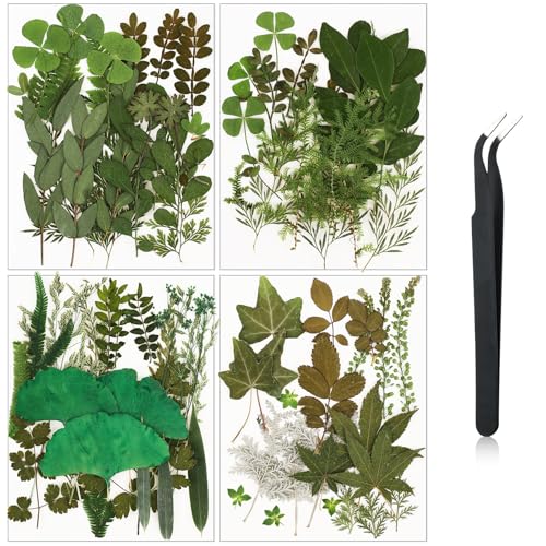 Flores prensadas secas para manualidades, 69 piezas miniatura 1