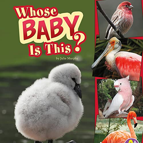 Whose Baby Is This? by Julie Murphy, Debbie Folkerts episode artwork