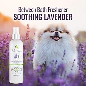 Pure and natural pet between bath freshener lavender 8 oz   cucciolini doodles