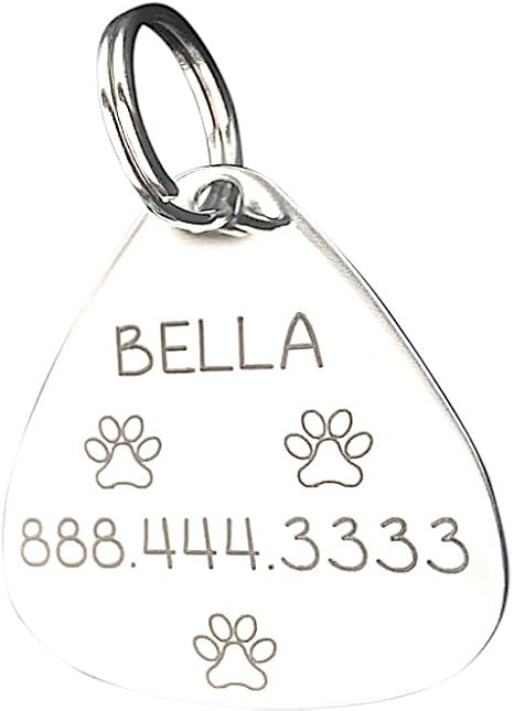 guitar pick dog tag
