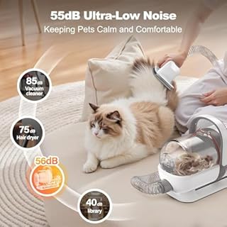 Afloia Kit per la toletta del cane con aspirapolvere, tosatrice per cani, aspirazione 99% peli, kit professionale con 7 strumenti