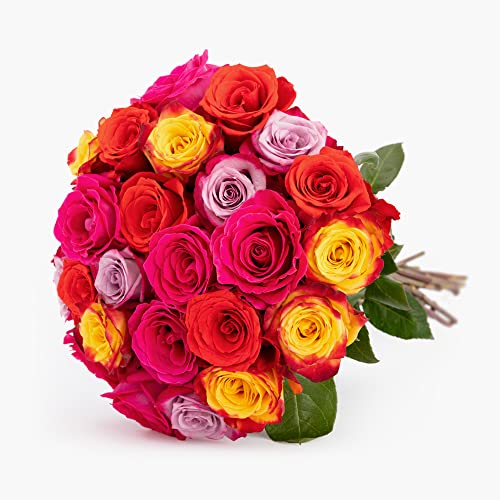 BloomsyBox: Multi Colored Roses - Two Dozen Rainbow Roses, 25 Long Stems, Long Lasting & Hand-Tied, Farm Fresh Flowers Bouquet, Luxury Floral Arrangement, Vase Not Included - Thumbnail 3