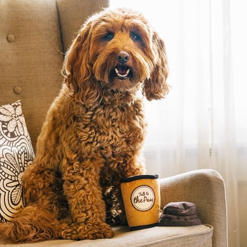 P.L.A.Y. Niedliches Plüsch-Hundespielzeug – Café, Lebensmittel, langlebig, Quietschspielzeug, ideal für Welpen und kleine, mittelgroße und große Hunderassen – maschinenwaschbar, recycelte Materialien