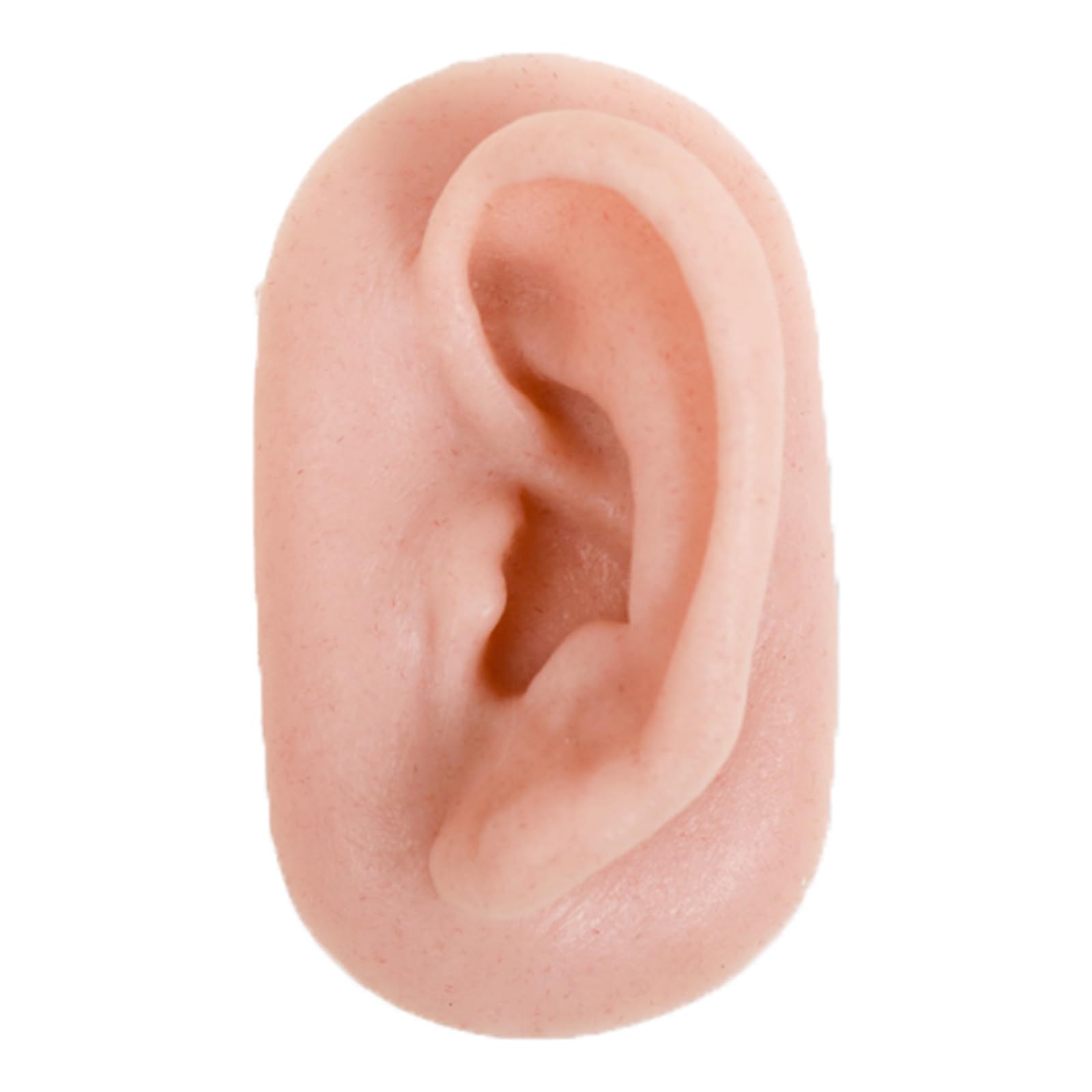 Yrqmgsf Left Simulation Fake Ear Teaching Model - Silicone Ear Acupuncture Point Model - For Acupuncture, Jewelry Display, Education,,9Cm