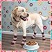 EXPAWLORER 4 Pcs Anti Slip Dog Socks for Prevent Licking Paws, Snow Winter Dog Boots & Paw Protectors, Dog Booties for Hardwood Floor, Dog Shoes for Small Medium Large Senior Dogs