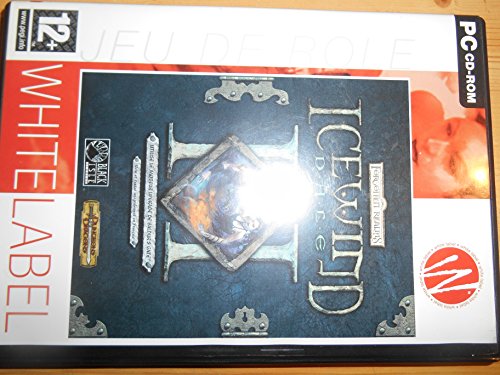 Icewind Dale 2 pour vos soirées gaming nostalgie