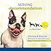PCI Pet Center Inc. Chicken & Biscuits, Biscuits wrapped with Chicken Breasts Dog Treats, 1 Pound Container