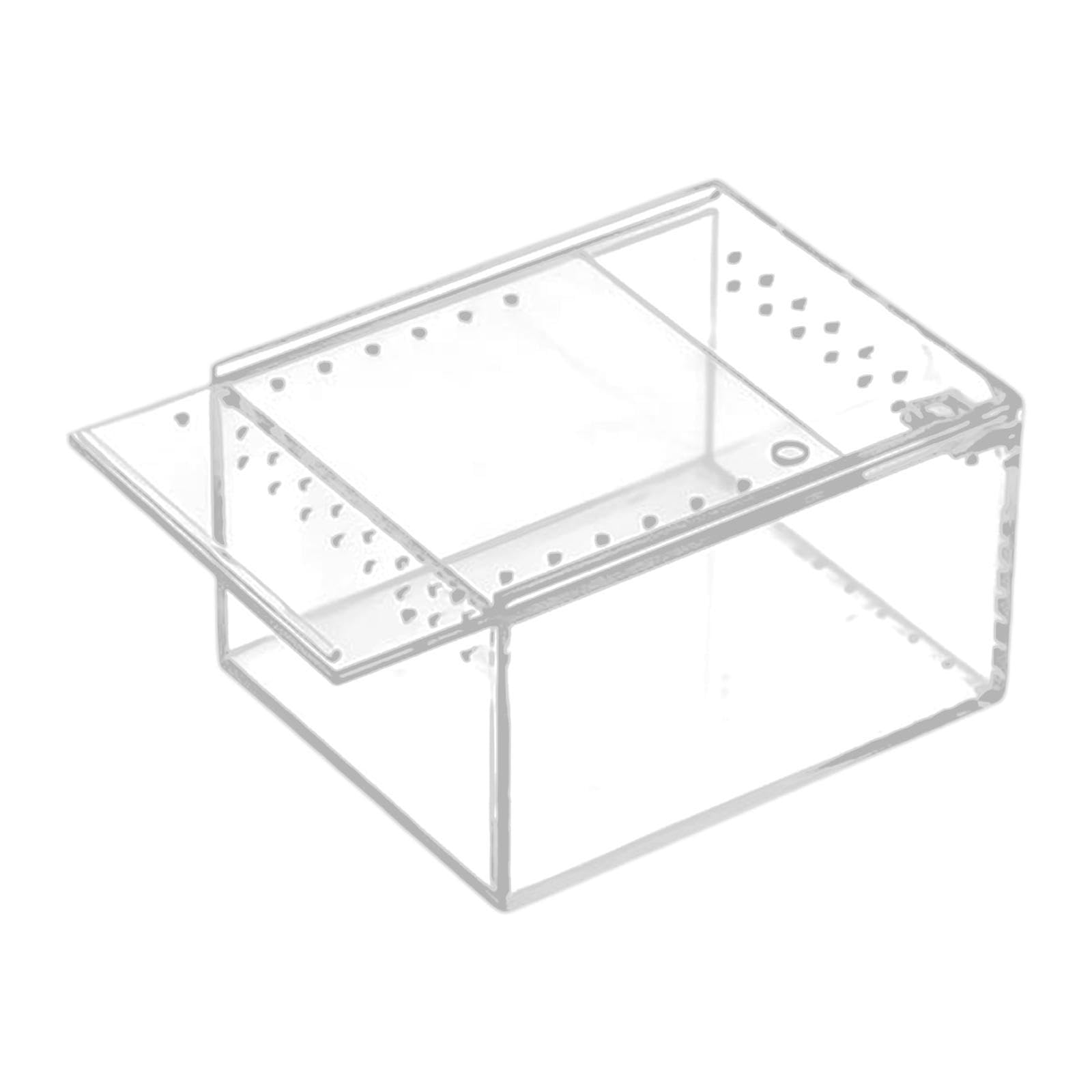 Terrarium pour reptiles transparent et petit aquarium pour araignées